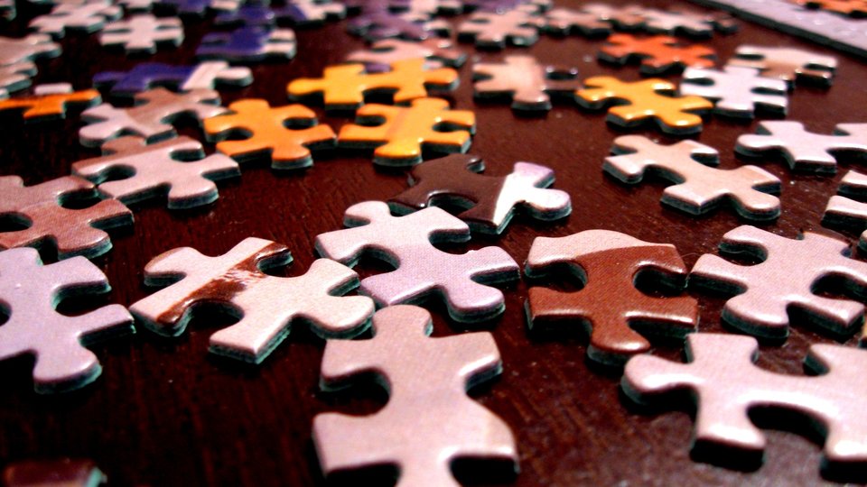 Diversity, puzzle pieces