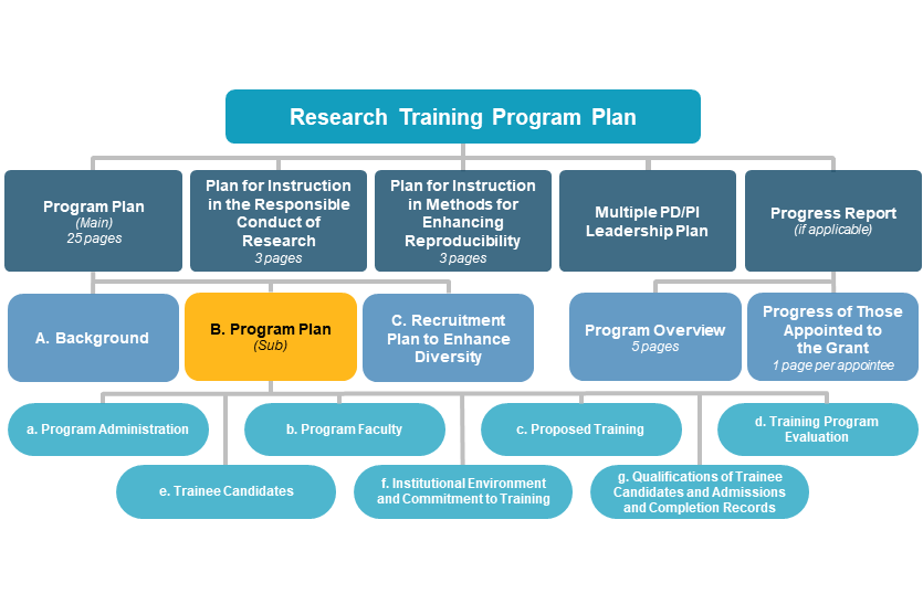 B. Program Plan diagram