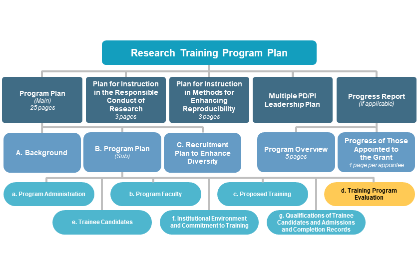 d. Training Program Evaluation diagram
